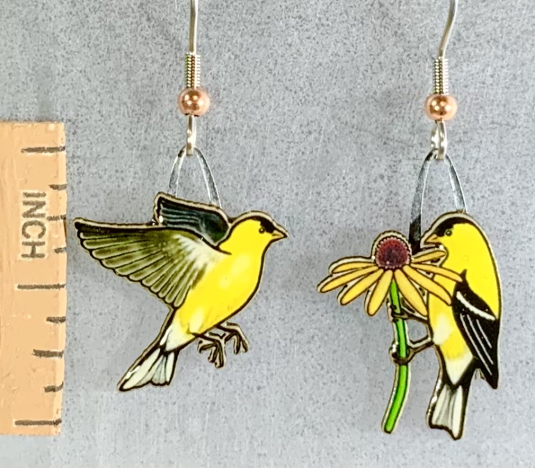 Jabebo - American Goldfinch - Friends of Malheur NWR